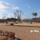 요천생태습지공원 애견놀이터 이미지