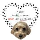가락시장 대방어 맛집 &#34;다해수산&#34;,&#34;서울식당&#34; 초장집 주말 웨이팅