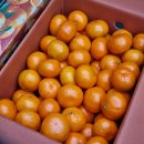 성원아파트경로당 이미지