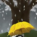지우유통 - 121 | 지우유통