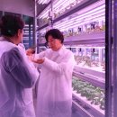 준 농장 이미지