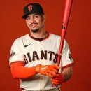 삼진그랜드건재건설 | [MLB] 2025 오프시즌 리뷰 - NL 서부지구