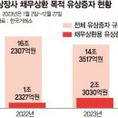 ﻿개미 돈으로 회사 빚 갚는다... 채무상환 유상증자 2배 증가 이미지