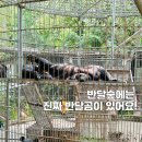 자림농장 이미지