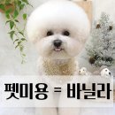 영산로 284 이미지