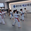 용인대 매교태권도장 이미지