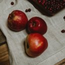 원미동 용서점 이미지