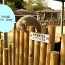 비밀
