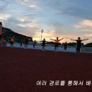 수달 영상일기 이미지