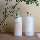 메종드로즈 이미지