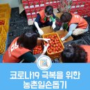 정정옥농장 네이버블로그