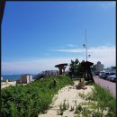 강릉육사시미 이미지