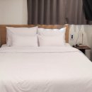 스테이즈437 | 스테이즈 437 종로 숙소 찐 후기