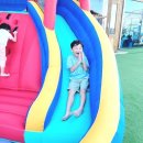 디엔예스
