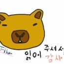 왕가 공갈빵 네이버블로그