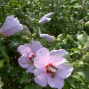 해성초등학교 이미지