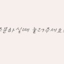 모어도트 이미지