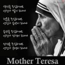 테라사 이미지