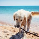 우성동물병원 이미지