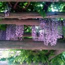 꽃빛공원약수터 이미지