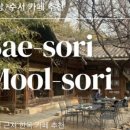 물소리N