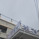 보두농장 | 대구 수성구흑돼지 맛집 단체회식 하기 좋은 봄결들안길본점