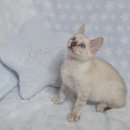 부산뱅갈하우스 이미지