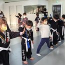 강철태권도체육관 이미지