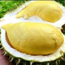 야우농장 이미지