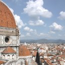 대성당안경 이미지