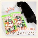 감자혁명 | 먼지 없는 친환경모래! 모래혁명 이노베이션 사용 후기 카사바모래 버리는법까지