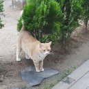 구름공방(무실점) 이미지