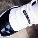 콩코드(Concord) 이미지