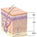 페이즈원