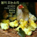 연모ㅡ 박 우철 노래ㅡ 중국 계림 여행 ㅡ 관암동굴ㅡ 이미지