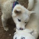 페이스오프 - 남양주시 해밀예당1로 30-9 | 페이스오프