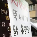 최씨고집 이미지