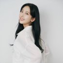 마이네스트 일간스포츠