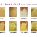 원원농장 이미지