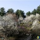 석정원 - 부산진구 동평로420번길 13 | 석정원