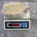 8월27일.참치오마카세,뿔소라,멍게무침,성게알,가리맛조개,대나발소라,꼼장어,민물장어,피데기,해신탕 이미지