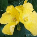 팔용산 체육공원 이미지