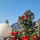 동내마을 이미지