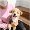 아이조아요양보호소 전남광주점 이미지