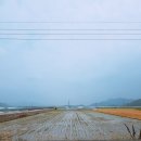 우진부동산중개사무소 이미지