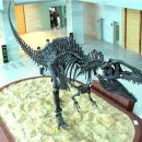 (주)옵토스타 이미지