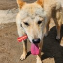 천수공인중개사사무소 이미지