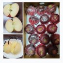 ​🍎 겨울까지 아삭하게! 래나팜 '여자사람농부'가 알려주는 사과 보관 꿀팁!