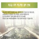 아토피에 좋은 편백나무 가구들로 리모델링한 주천강 자연휴양림 다녀왔어요~ 이미지