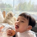 삐삐롱스